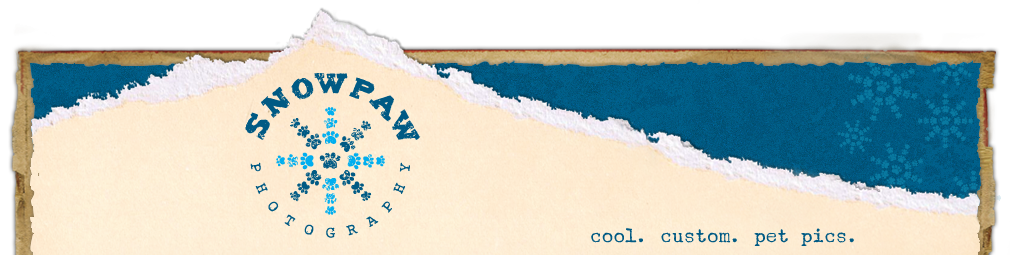 Snowpaw Photography logo